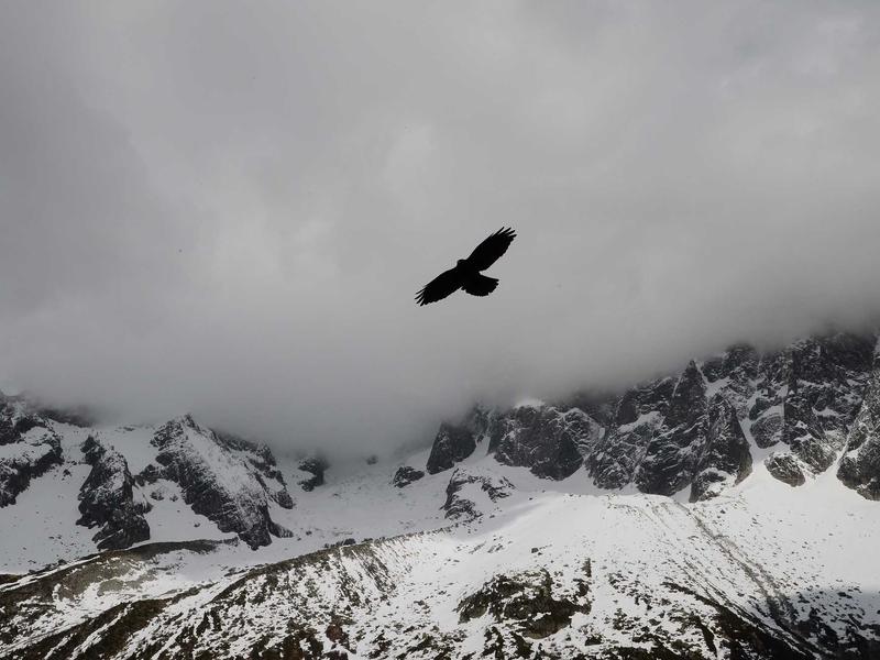 Building a solid foundation